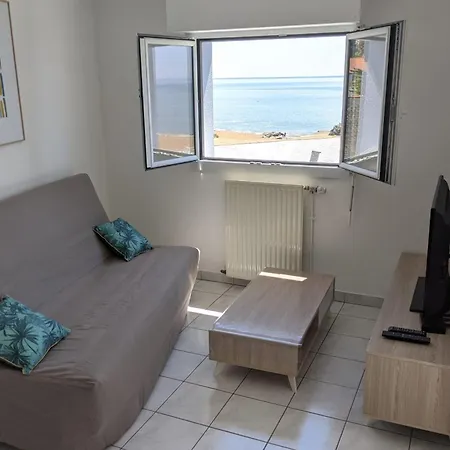 Apartment Sea View With At 20m Saint-marc-sur-mer